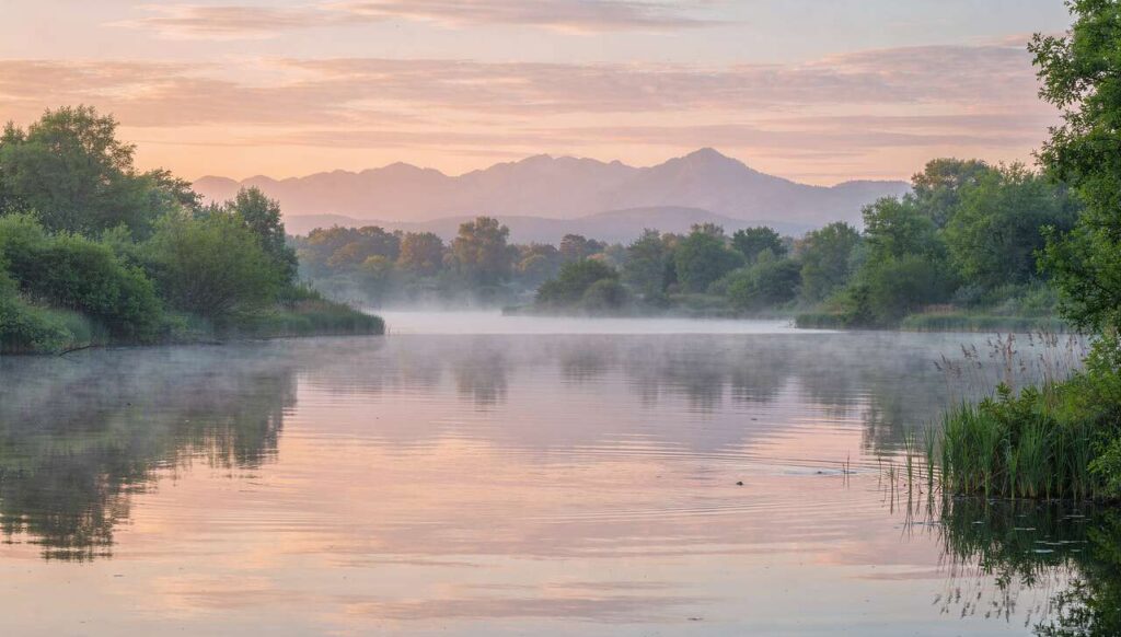 Videnskaben er klar: penge gør ikke lykkelig, men denne ene faktor bidrager til det